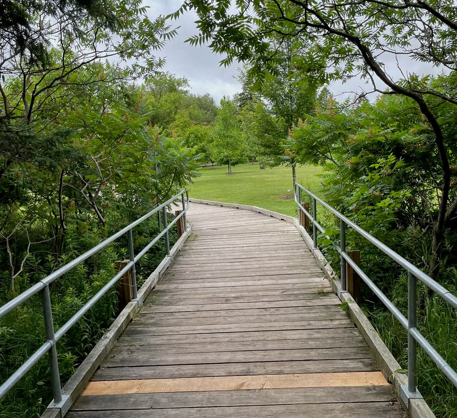 Photo of the Bissell park boardwalk