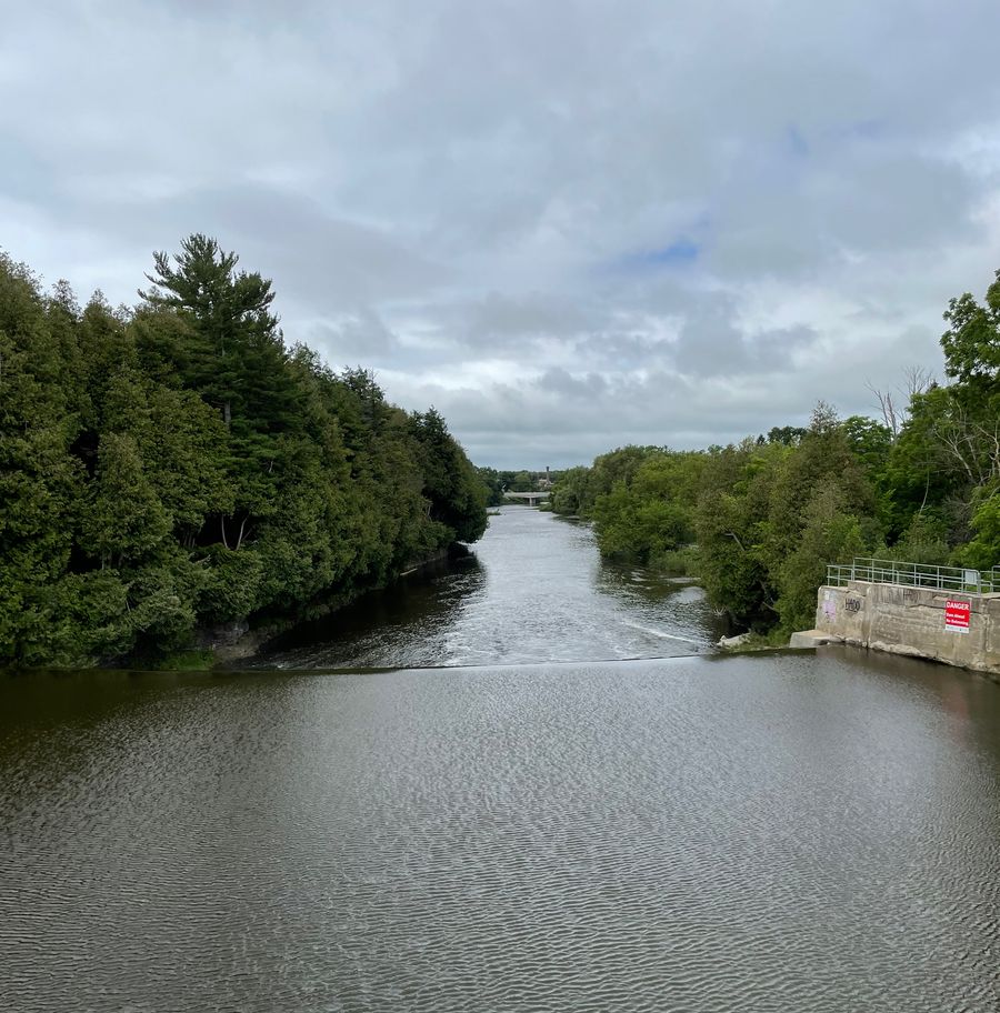 Photo of the Grand River from the Bissell park pedestrian bridge