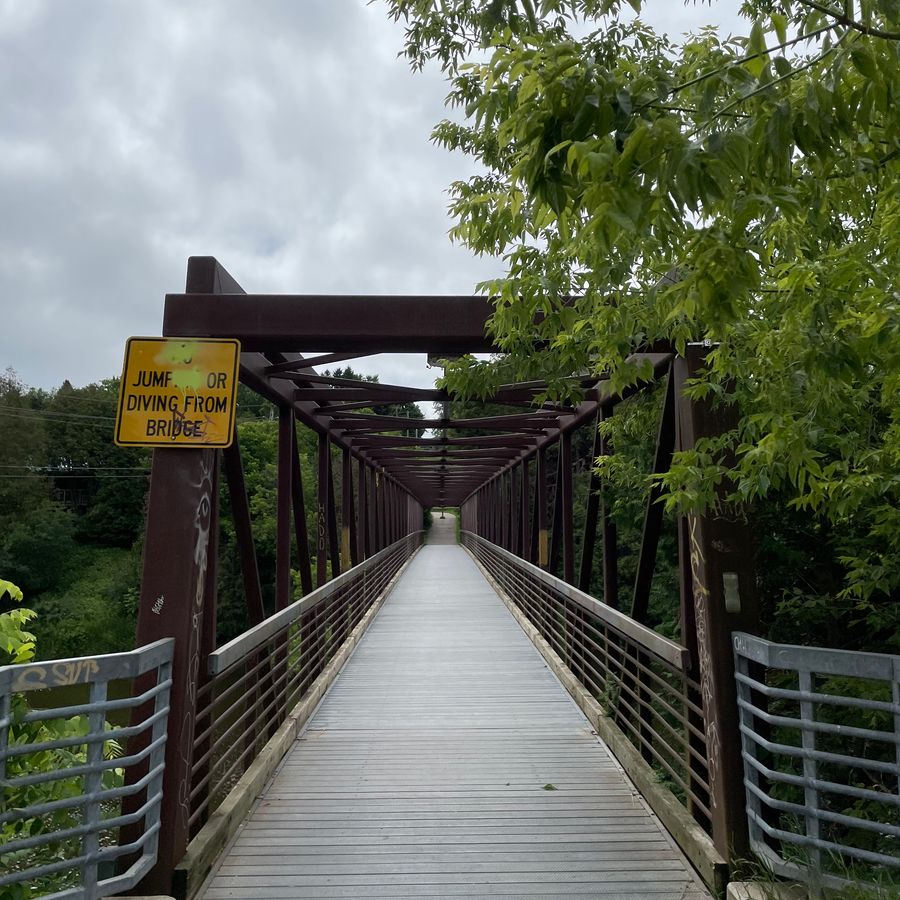 Photo of the Bissell park pedestrian bridge