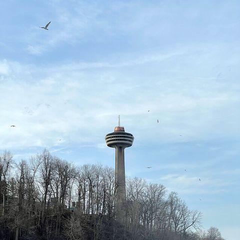 Photo of Skylon tower