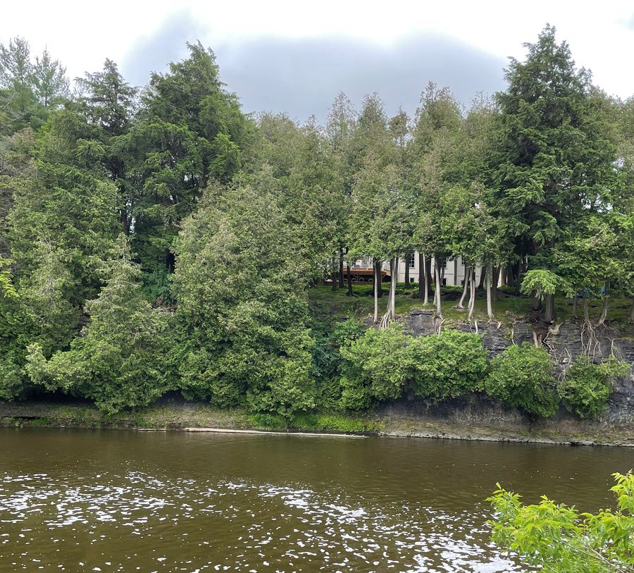 Photo of the Grand River taken from the Bissell park trail