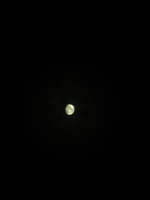 The Moon glowing against a completely dark night sky.